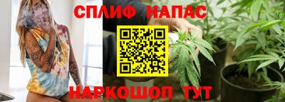 крисы Сланцы