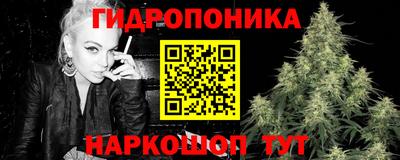 крисы Сланцы