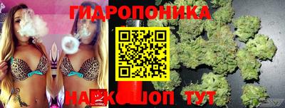 MDMA Славгород