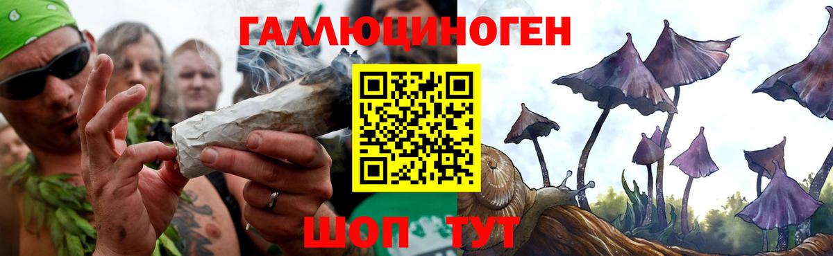 Псилоцибиновые грибы прущие грибы  Вход с VPN  закладки  Новосибирск 